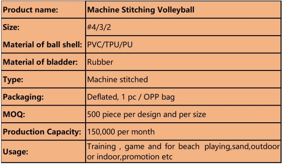 specification Volleyball.jpg